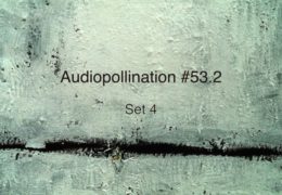 Set 4 Audiopollination 53.2